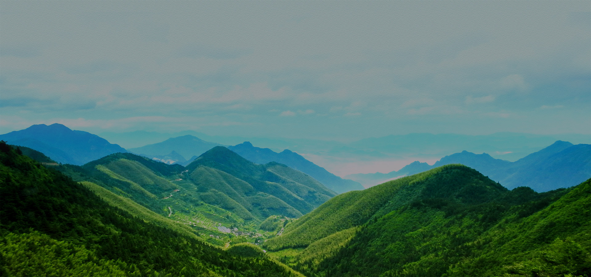 科技型企业